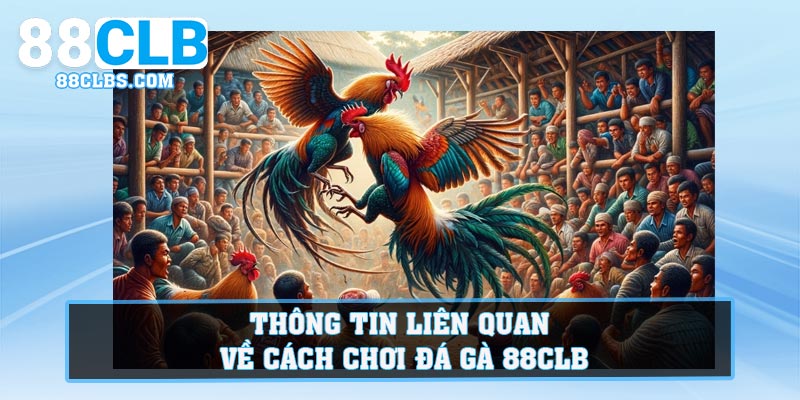 Thông tin liên quan về cách chơi đá gà 88CLB